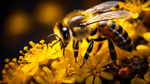 A honey bee collecting pollen from wildflowers.